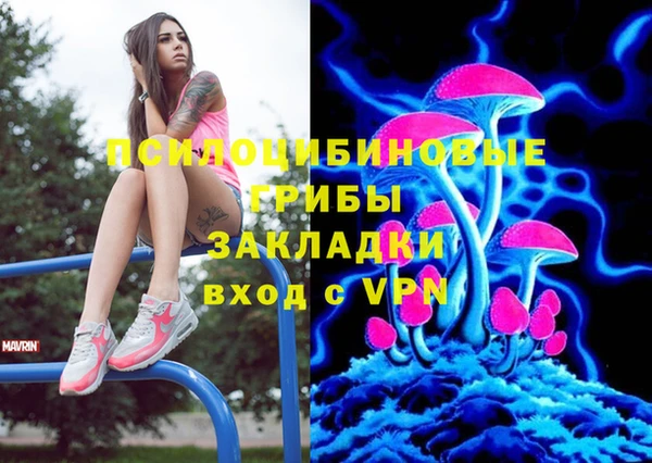 стаф Алзамай