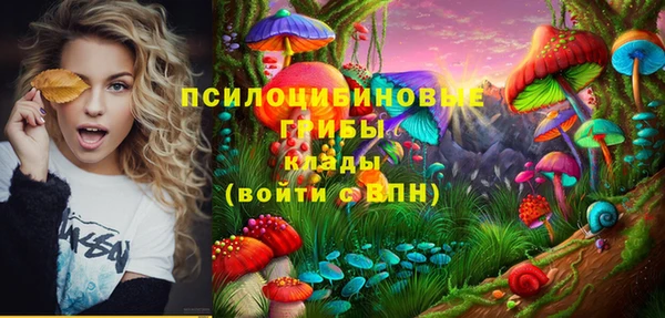 дживик Алексин