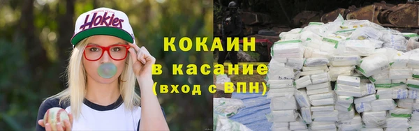 дживик Алексин