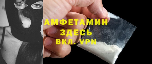 стаф Алзамай