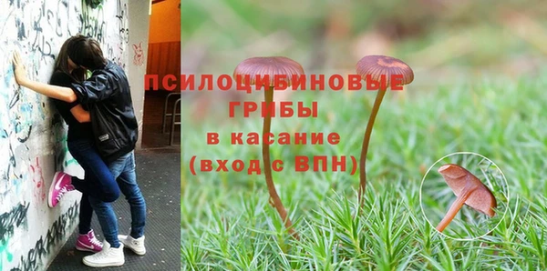 мет Алексеевка