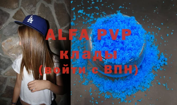 стаф Алзамай