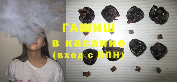стаф Алзамай